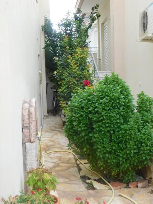 Studio Epicuros Nauplia Exterior foto