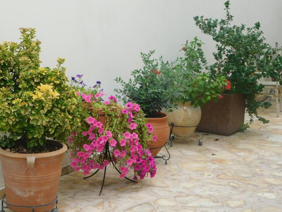 Studio Epicuros Nauplia Exterior foto